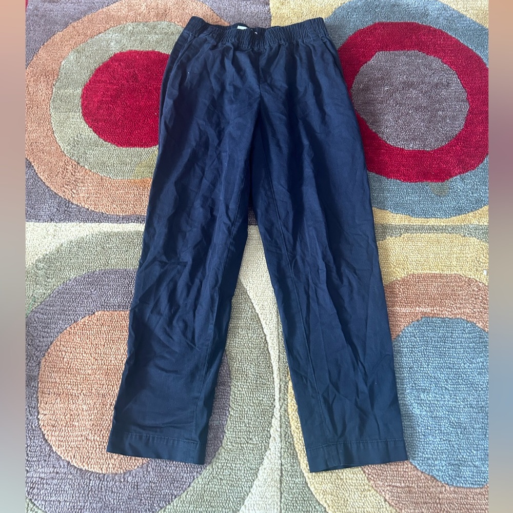 Everlane Chino Material Loose Black Pull On High Waisted Ankle Cropped Pants 00